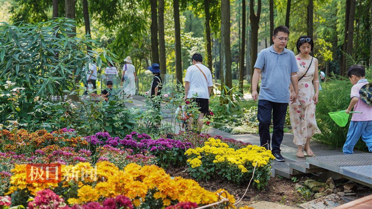 大发黄金版客户端